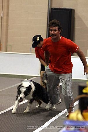 Dawg Derby Flyball Tournement<br />July 11, 2009<br />Classic Center<br />Athens, Ga