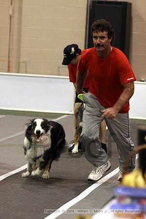 Dawg Derby Flyball Tournement<br />July 11, 2009<br />Classic Center<br />Athens, Ga