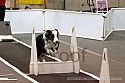 img_0255_thm.jpg