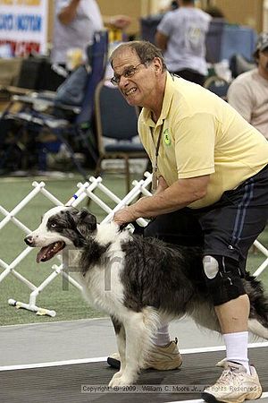 Dawg Derby Flyball Tournement<br />July 11, 2009<br />Classic Center<br />Athens, Ga