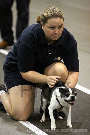 Dawg Derby Flyball Tournement<br />July 11, 2009<br />Classic Center<br />Athens, Ga