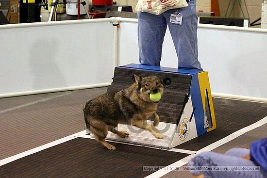 Dawg Derby Flyball Tournement<br />July 11, 2009<br />Classic Center<br />Athens, Ga