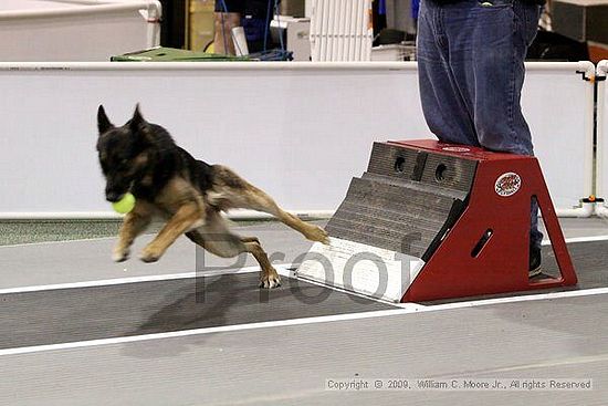 Dawg Derby Flyball Tournement<br />July 11, 2009<br />Classic Center<br />Athens, Ga