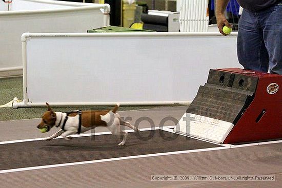 Dawg Derby Flyball Tournement<br />July 11, 2009<br />Classic Center<br />Athens, Ga