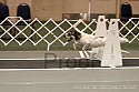 img_0340_thm.jpg