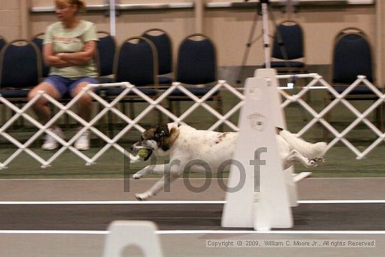 Dawg Derby Flyball Tournement<br />July 11, 2009<br />Classic Center<br />Athens, Ga