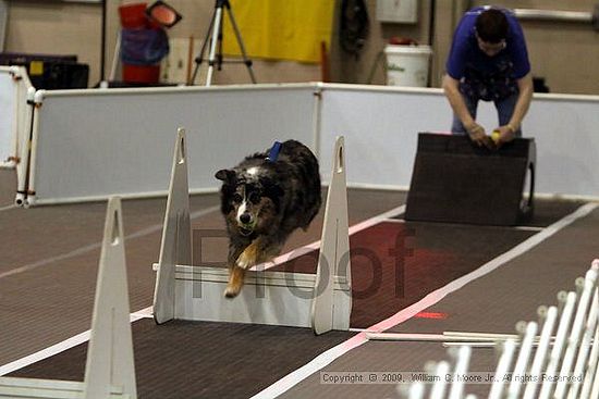 Dawg Derby Flyball Tournement<br />July 11, 2009<br />Classic Center<br />Athens, Ga