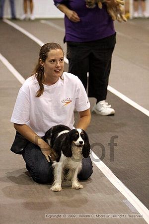 Dawg Derby Flyball Tournement<br />July 11, 2009<br />Classic Center<br />Athens, Ga