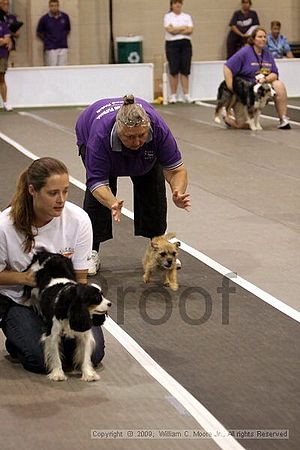 Dawg Derby Flyball Tournement<br />July 11, 2009<br />Classic Center<br />Athens, Ga