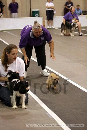 Dawg Derby Flyball Tournement<br />July 11, 2009<br />Classic Center<br />Athens, Ga