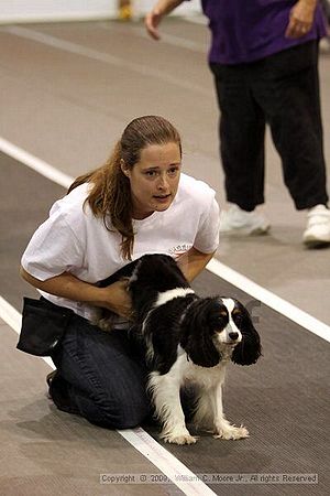 Dawg Derby Flyball Tournement<br />July 11, 2009<br />Classic Center<br />Athens, Ga