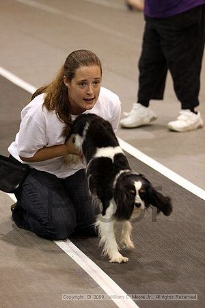 Dawg Derby Flyball Tournement<br />July 11, 2009<br />Classic Center<br />Athens, Ga