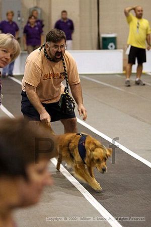 Dawg Derby Flyball Tournement<br />July 11, 2009<br />Classic Center<br />Athens, Ga