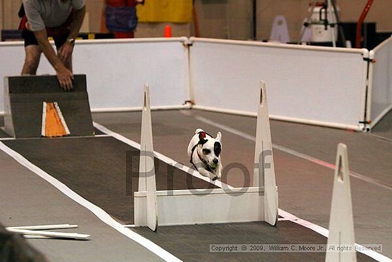 Dawg Derby Flyball Tournement<br />July 11, 2009<br />Classic Center<br />Athens, Ga