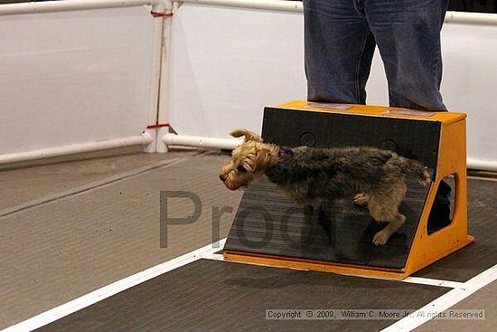 Dawg Derby Flyball Tournement<br />July 11, 2009<br />Classic Center<br />Athens, Ga