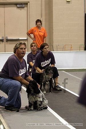 Dawg Derby Flyball Tournement<br />July 11, 2009<br />Classic Center<br />Athens, Ga