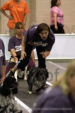 Dawg Derby Flyball Tournement<br />July 11, 2009<br />Classic Center<br />Athens, Ga