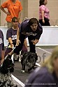 img_0466_thm.jpg