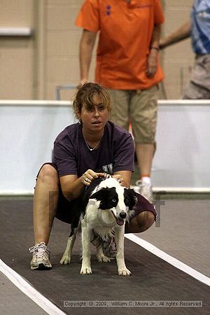 Dawg Derby Flyball Tournement<br />July 11, 2009<br />Classic Center<br />Athens, Ga