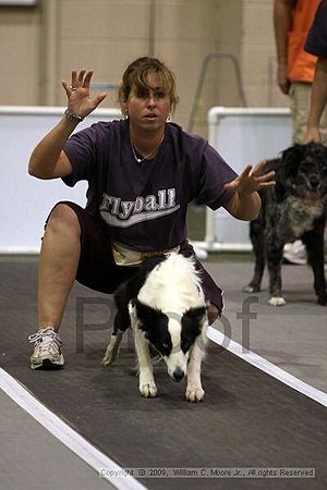 Dawg Derby Flyball Tournement<br />July 11, 2009<br />Classic Center<br />Athens, Ga