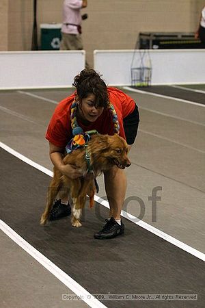 Dawg Derby Flyball Tournement<br />July 11, 2009<br />Classic Center<br />Athens, Ga