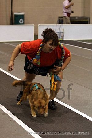 Dawg Derby Flyball Tournement<br />July 11, 2009<br />Classic Center<br />Athens, Ga