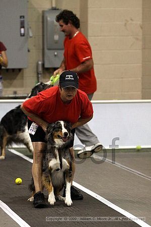 Dawg Derby Flyball Tournement<br />July 11, 2009<br />Classic Center<br />Athens, Ga