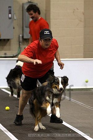 Dawg Derby Flyball Tournement<br />July 11, 2009<br />Classic Center<br />Athens, Ga