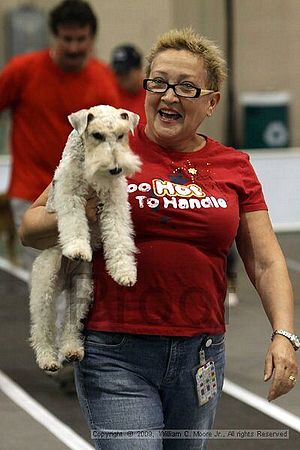 Dawg Derby Flyball Tournement<br />July 11, 2009<br />Classic Center<br />Athens, Ga