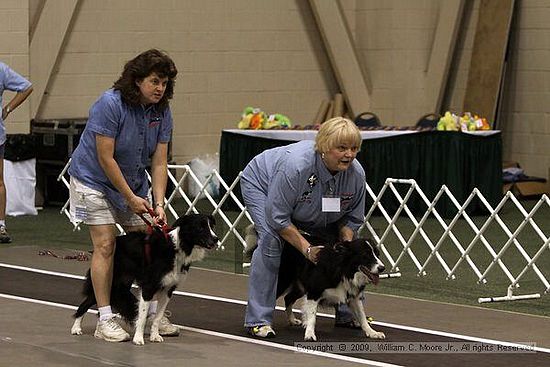 Dawg Derby Flyball Tournement<br />July 11, 2009<br />Classic Center<br />Athens, Ga