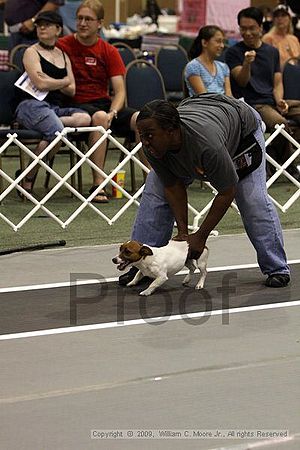 Dawg Derby Flyball Tournement<br />July 11, 2009<br />Classic Center<br />Athens, Ga