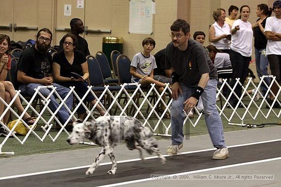 Dawg Derby Flyball Tournement<br />July 11, 2009<br />Classic Center<br />Athens, Ga