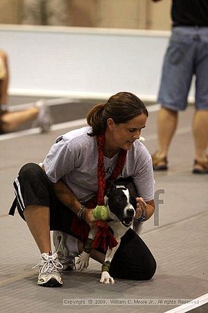 Dawg Derby Flyball Tournement<br />July 11, 2009<br />Classic Center<br />Athens, Ga