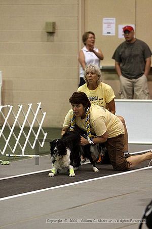 Dawg Derby Flyball Tournement<br />July 11, 2009<br />Classic Center<br />Athens, Ga