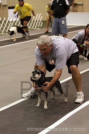 Dawg Derby Flyball Tournement<br />July 11, 2009<br />Classic Center<br />Athens, Ga