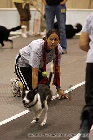 Dawg Derby Flyball Tournement<br />July 11, 2009<br />Classic Center<br />Athens, Ga