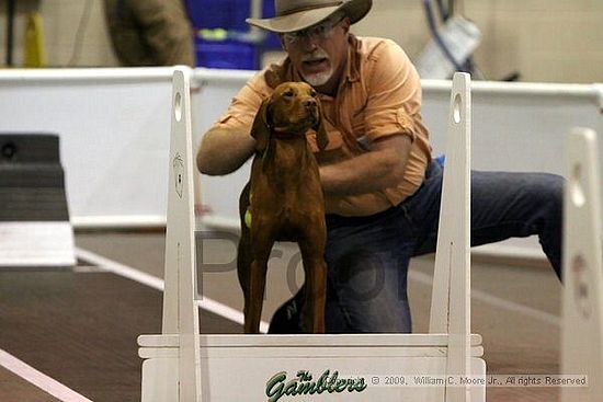 Dawg Derby Flyball Tournement<br />July 11, 2009<br />Classic Center<br />Athens, Ga