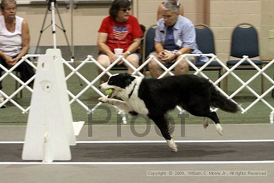 Dawg Derby Flyball Tournement<br />July 11, 2009<br />Classic Center<br />Athens, Ga