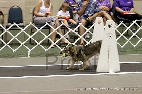 Dawg Derby Flyball Tournement<br />July 11, 2009<br />Classic Center<br />Athens, Ga