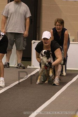 Dawg Derby Flyball Tournement<br />July 12, 2009<br />Classic Center<br />Athens, Ga