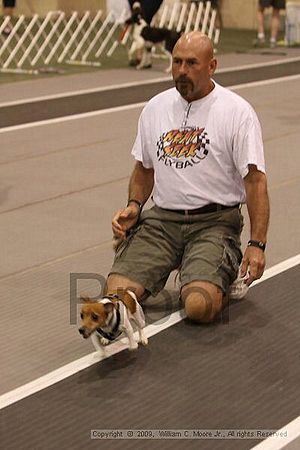 Dawg Derby Flyball Tournement<br />July 12, 2009<br />Classic Center<br />Athens, Ga