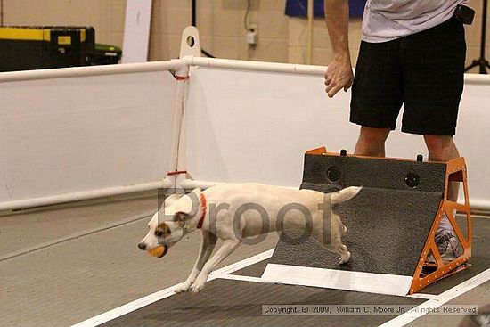 Dawg Derby Flyball Tournement<br />July 12, 2009<br />Classic Center<br />Athens, Ga