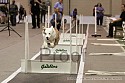 img_0756_thm.jpg