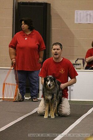 Dawg Derby Flyball Tournement<br />July 12, 2009<br />Classic Center<br />Athens, Ga