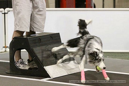 Dawg Derby Flyball Tournement<br />July 12, 2009<br />Classic Center<br />Athens, Ga