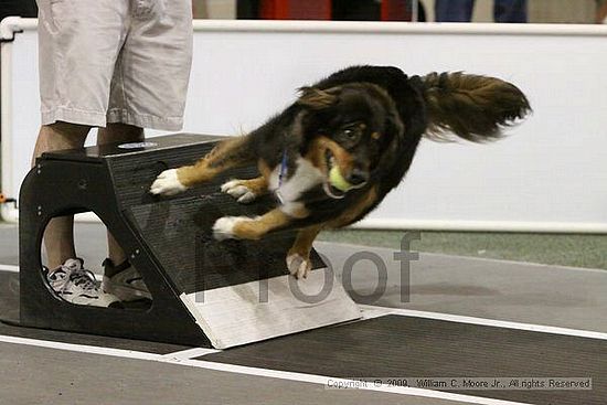 Dawg Derby Flyball Tournement<br />July 12, 2009<br />Classic Center<br />Athens, Ga