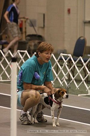 Dawg Derby Flyball Tournement<br />July 12, 2009<br />Classic Center<br />Athens, Ga