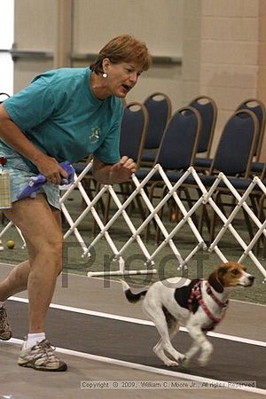 Dawg Derby Flyball Tournement<br />July 12, 2009<br />Classic Center<br />Athens, Ga