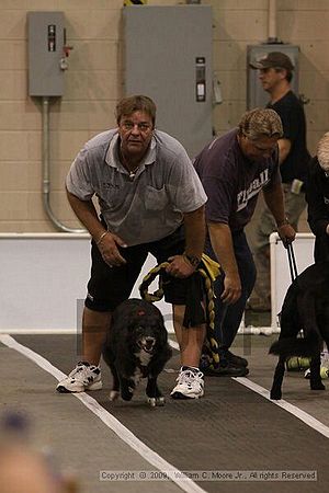 Dawg Derby Flyball Tournement<br />July 12, 2009<br />Classic Center<br />Athens, Ga