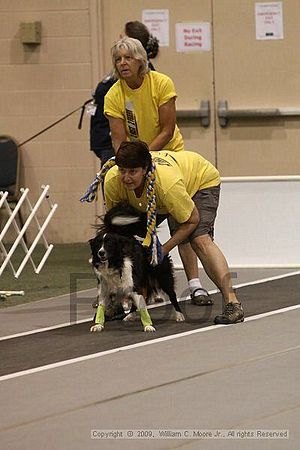 Dawg Derby Flyball Tournement<br />July 12, 2009<br />Classic Center<br />Athens, Ga